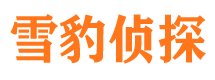 中方侦探